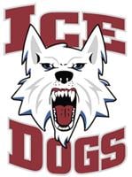 Aldridge happy to contribute to Ice Dogs