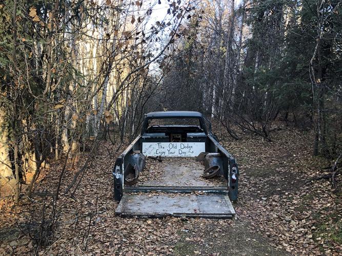 Goldstream conservation