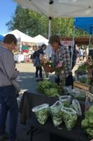 Cuts to USDA could impact farmers, food security in the Interior