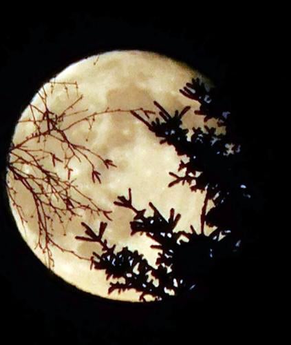 Moon over Delta