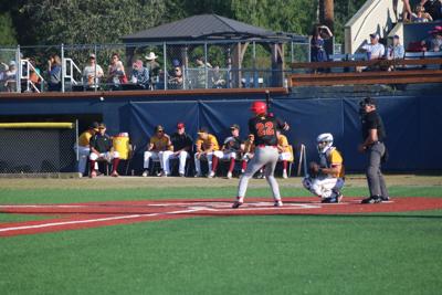 Goldpanners
