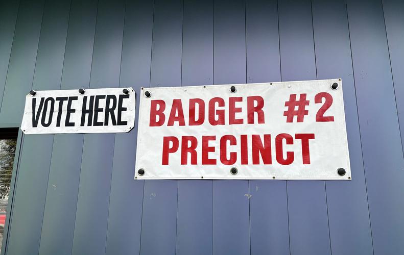 Primary Election Day