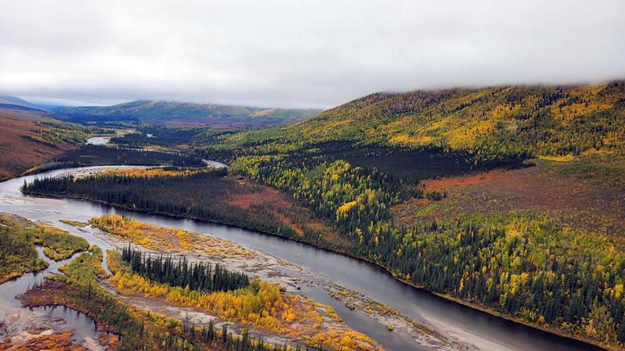 Autumn on the Dalton