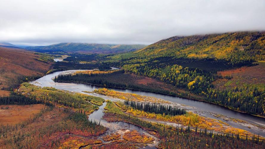 Autumn on the Dalton