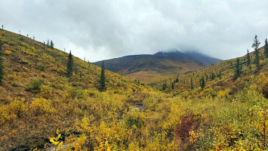 Autumn on the Dalton