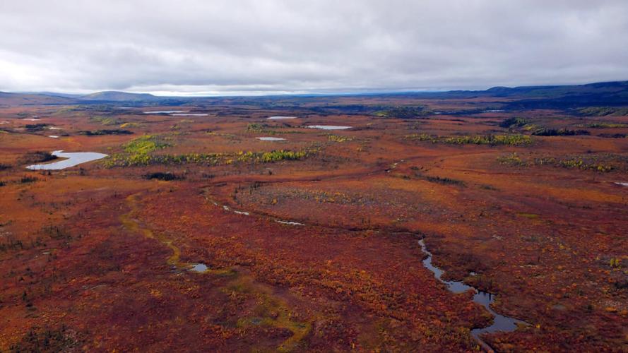 Autumn on the Dalton