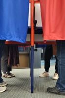 Early voting sees big turnout