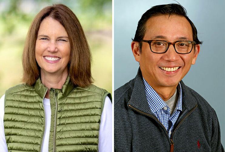 Senate District P candidates