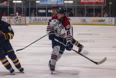 Ice Dogs
