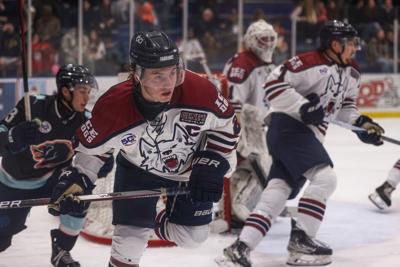 Ice Dogs