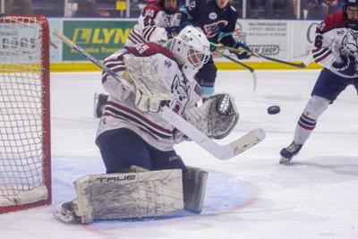 Ice Dogs