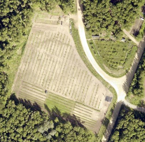 Growing fruit in Alaska