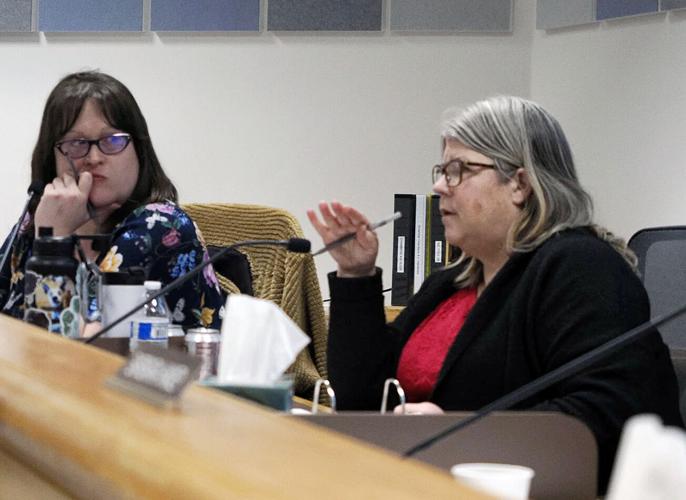 Borough budget workshop