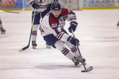 Ice Dogs
